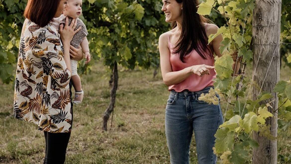 PASSEGGIATA TRA LE VIGNE